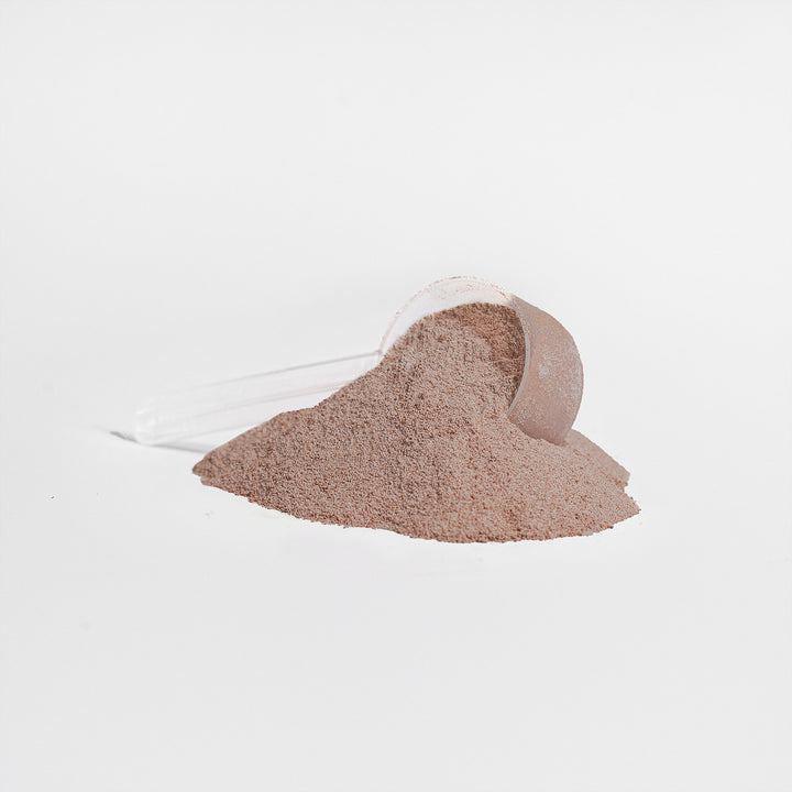 Advanced Whey Protein Isolate (Chocolate Shake)