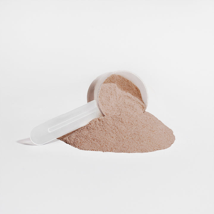 VEGPRO Plant Protein (Chocolate Shake)